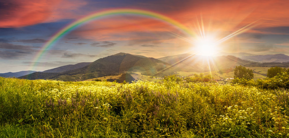 35716284 - composite mountain landscape. wild flowers on meadow in mountains in sunset light with rainbow
